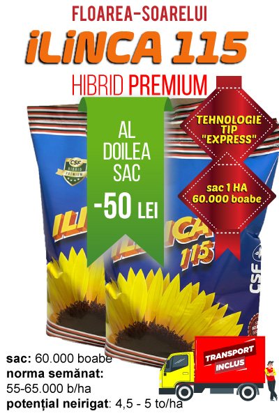 2 SACI samanta floarea-soarelui Premium ILINCA 115