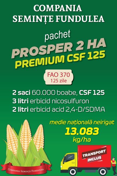 Pachet samanta porumb premium PROSPER 2 ha, CSF 125