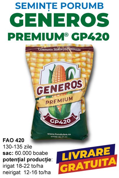 samanta porumb GENEROS premium GP 420, COMPANIA SEMINTE FUNDULEA