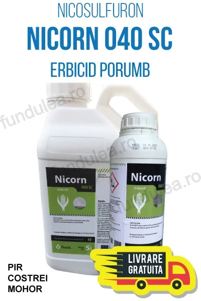 erbicid porumb nicosulfuron, nicorn, compania seminte fundulea