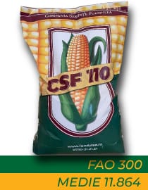 Porumb CSF 110