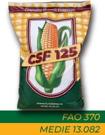Porumb CSF 125